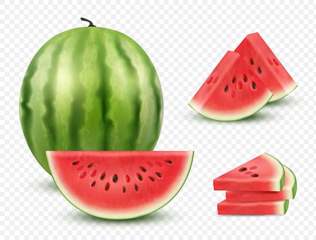 Watermeloen realistische collectie plakjes gezonde natuurlijke bes watermeloen fruit fatsoenlijke vectorillustratie geïsoleerd op wit