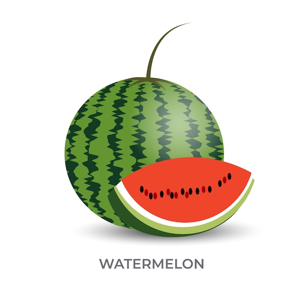 Watermeloen vectorillustratie met plakjes