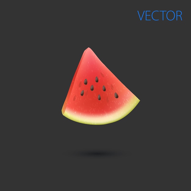 Watermeloen zomer fruit plasticine kunst illustratie d vector pictogram op grijs