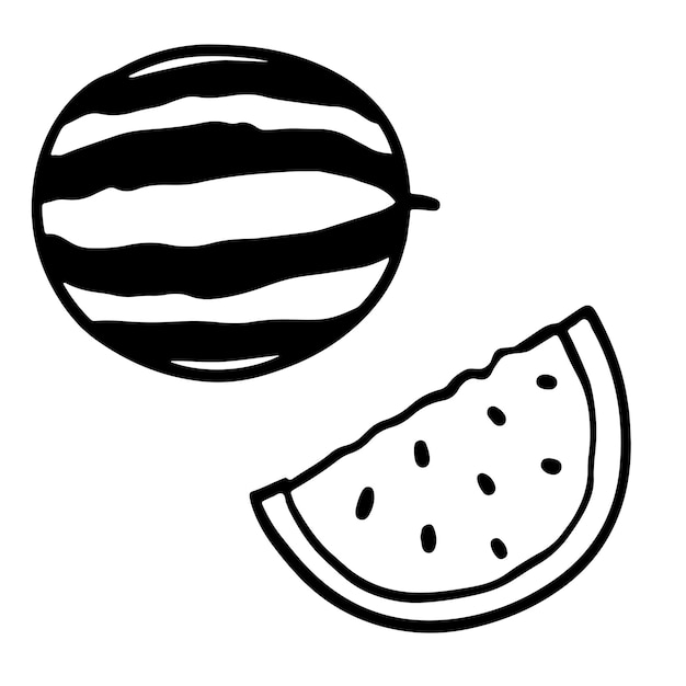 Watermelon black and white doodle sketch vector illustration isolated on white