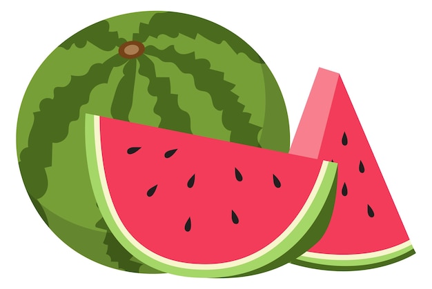 Watermelon cutted icon whole fruit and pieces summer food