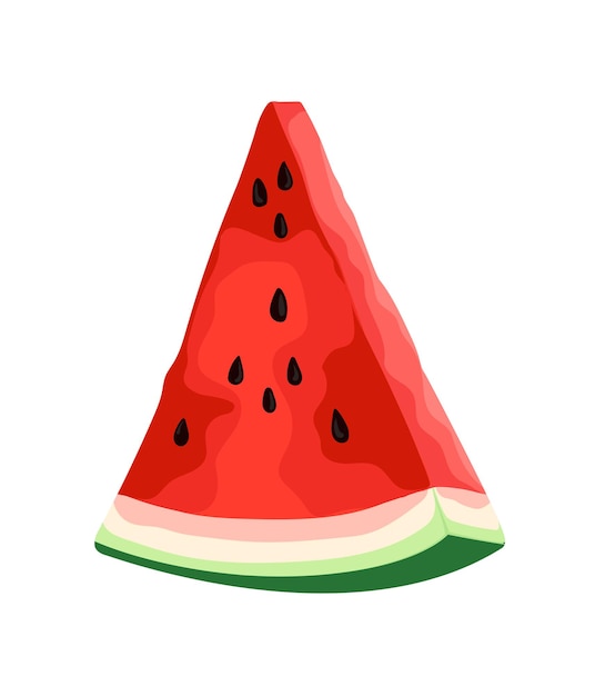 watermelon fruit food slice vector illustration fresh sweet juicy healthy delicious dessert red ripe