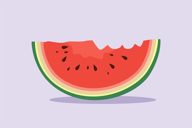 Watermelon Fruit Helder sappig zomerfruit concept Gekleurde platte vector illustratie geïsoleerd