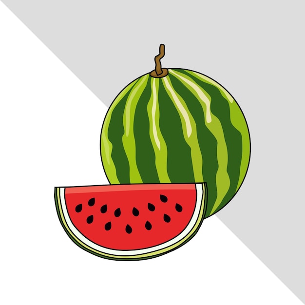 Vector watermelon fruit illustration 2d flat graphic