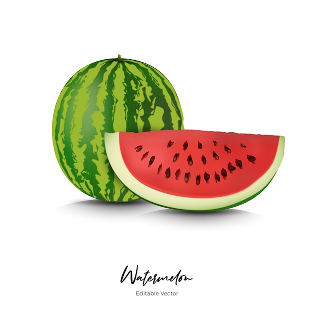 Watermelon Fruit Realistic  