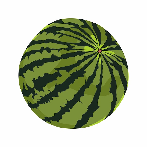 watermelon fruit vector design