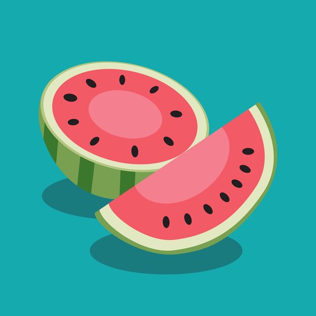 Vector watermelon fruits