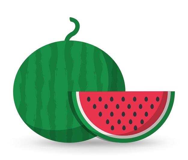 Watermelon healthy organic food icon