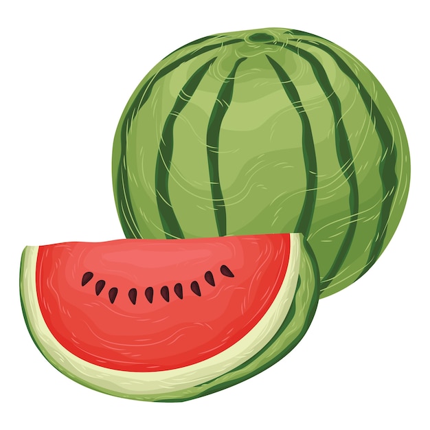 Vector watermelon icon fruit summer spring element vector watercolor tropical party illustration healthy