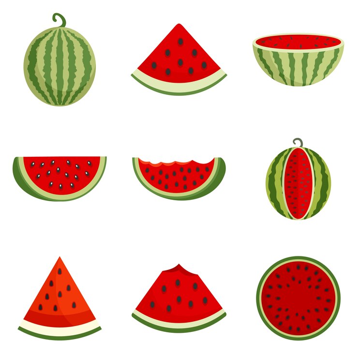 Vector watermelon icons set