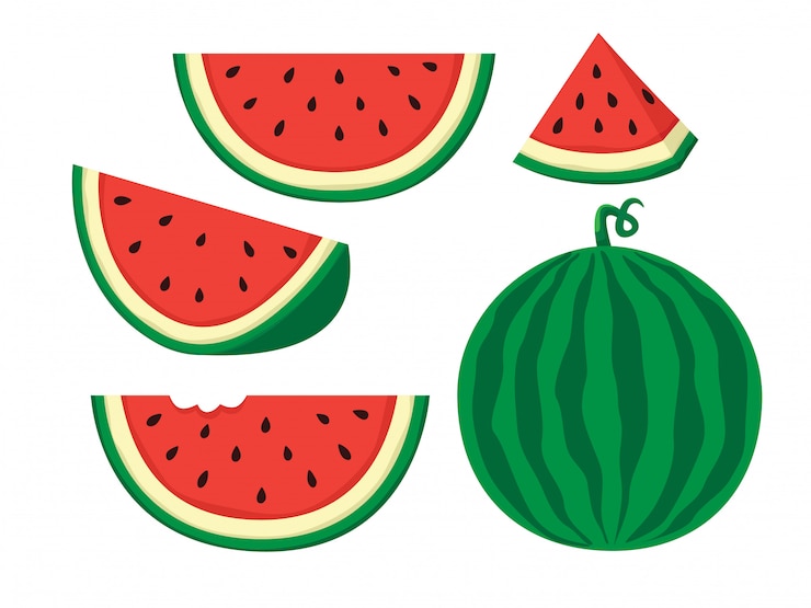 Vector 수박 일러스트