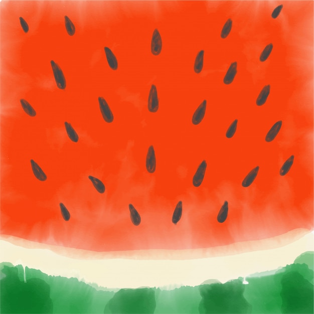 Vector watermelon made with watercolor