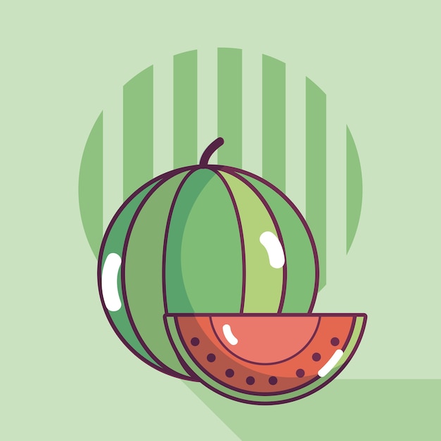 Vector watermelon natural and fresh cartoon