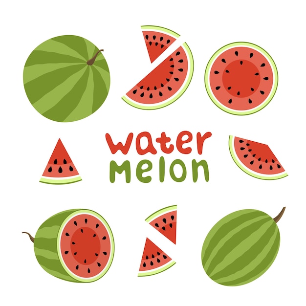 Watermelon set cut watermelon piece half bit round flat isolated vector illustration eps