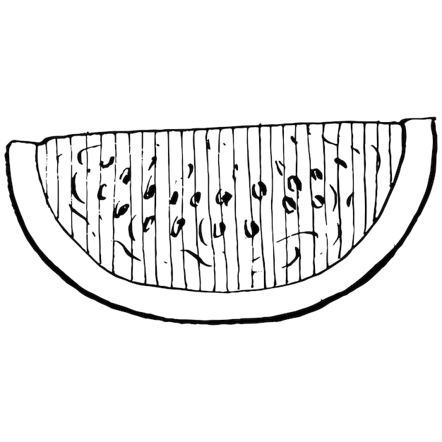 Арбуз эскиз векторной графики изолированные рисованной ягоды на белом фоне летние ягоды