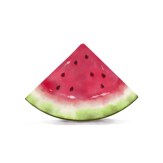 Watermelon slice watercolor illustration isolated on a white background.