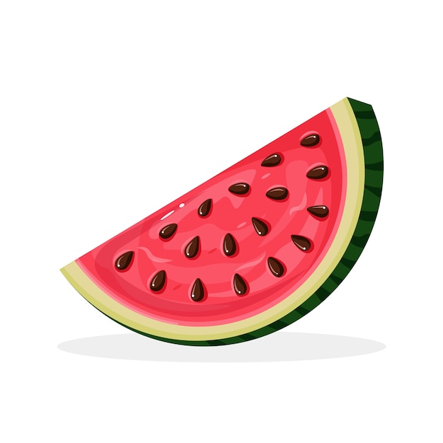 Watermelon slice with peel and seeds isolated on white