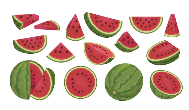 Watermelon sliced fresh healthy fruits vector cartoon illustrations set of watermelons