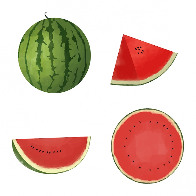 Watermelon slices set