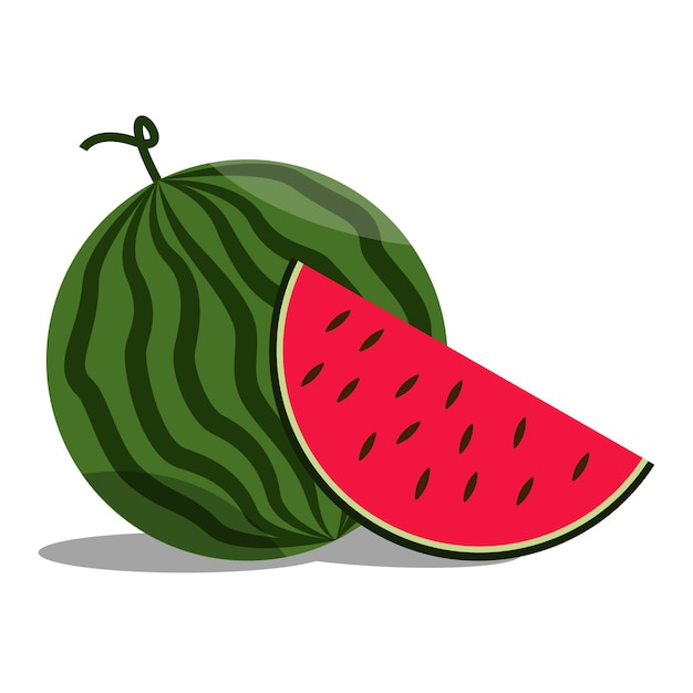 Watermelon sweet fruit on white background. Vector stock illustration.