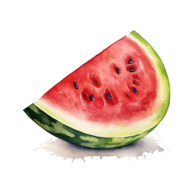 Watermelon watercolor clipart white background