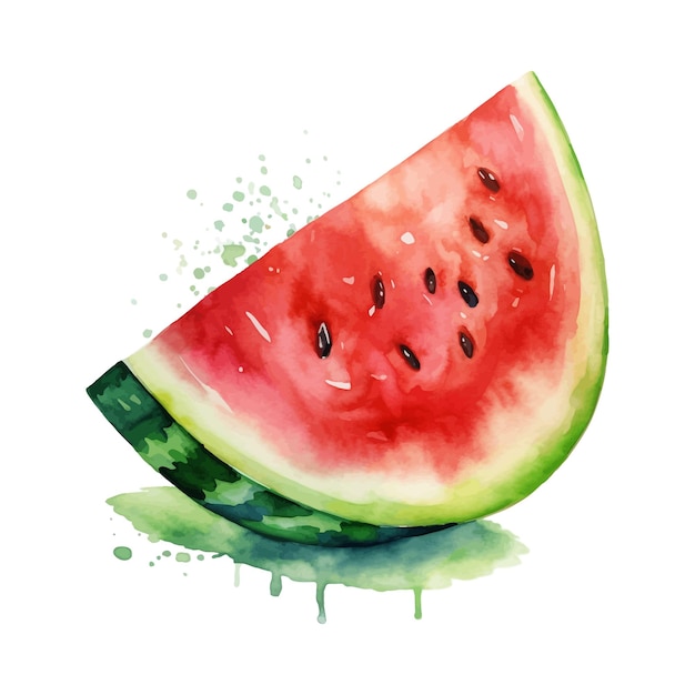 Watermelon watercolor clipart white background