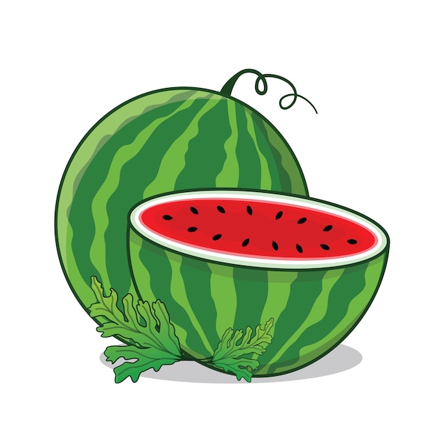 Watermelon Watermelon slice Watermelon rijp cartoon icoon vectorontwerp illustratie behang