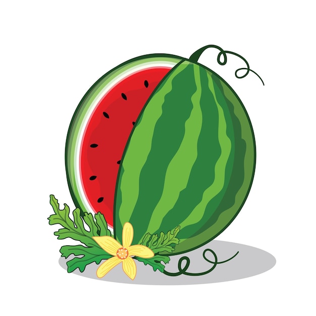 Vector watermelon watermelon slice watermelon ripe cartoon icon vector design illlustration wallpaper