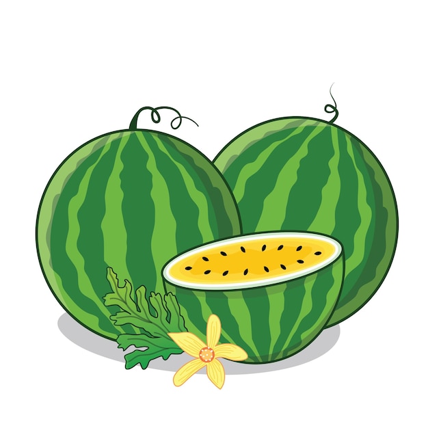 Watermelon watermelon slice watermelon ripe cartoon icon vector design illlustration wallpaper