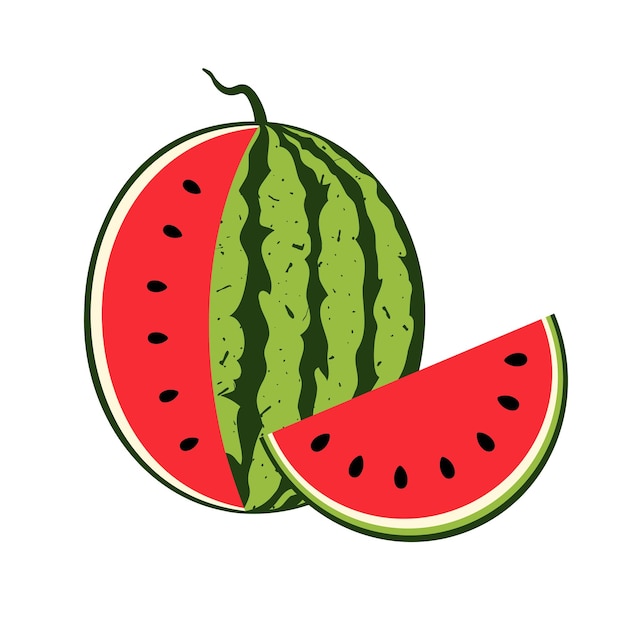 Watermelon with juicy slice Summer fruit illustration isolated on white background