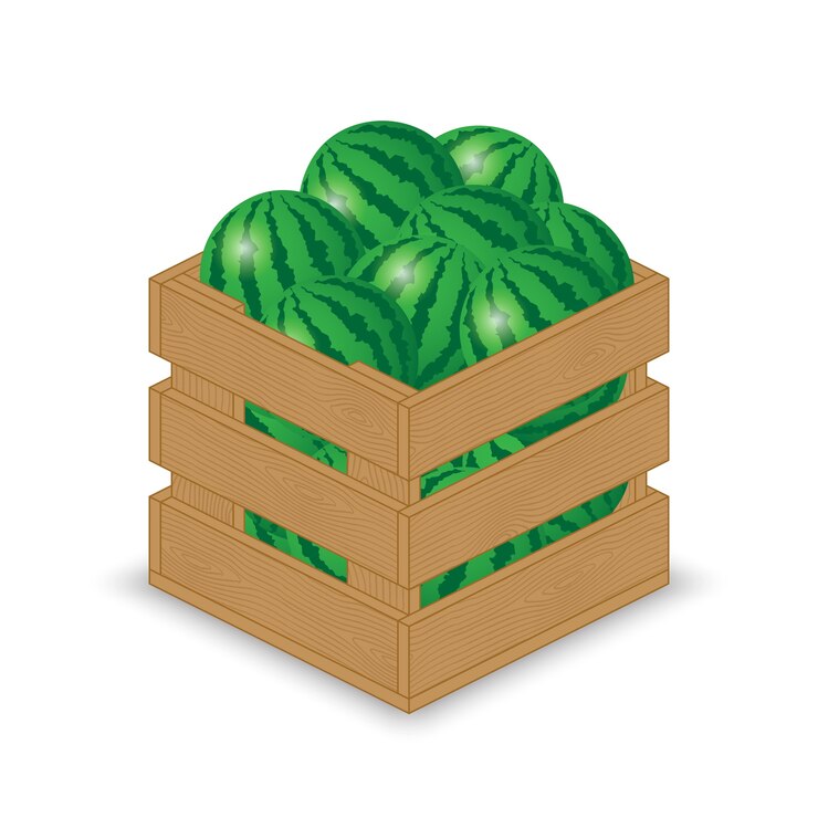 Vector watermelon in wooden crate