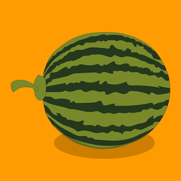 Vector a watermelon on a yellow background