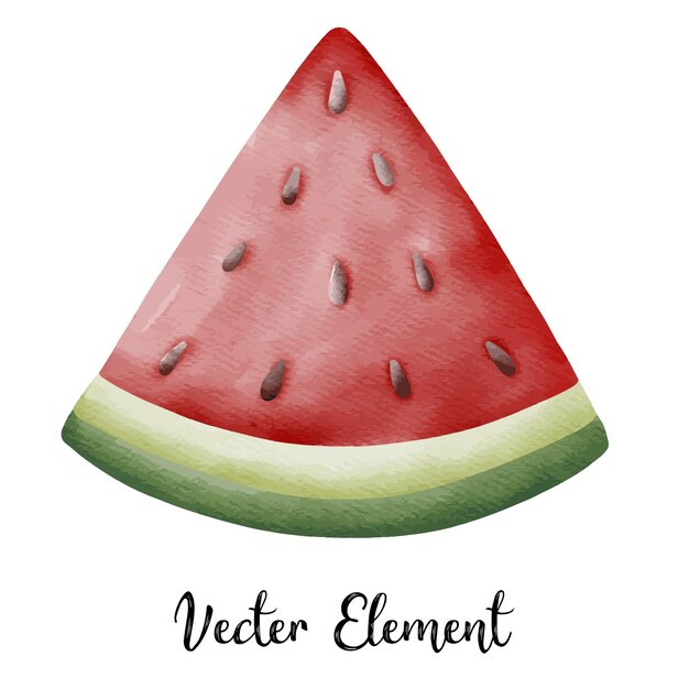 Vector watermelon1