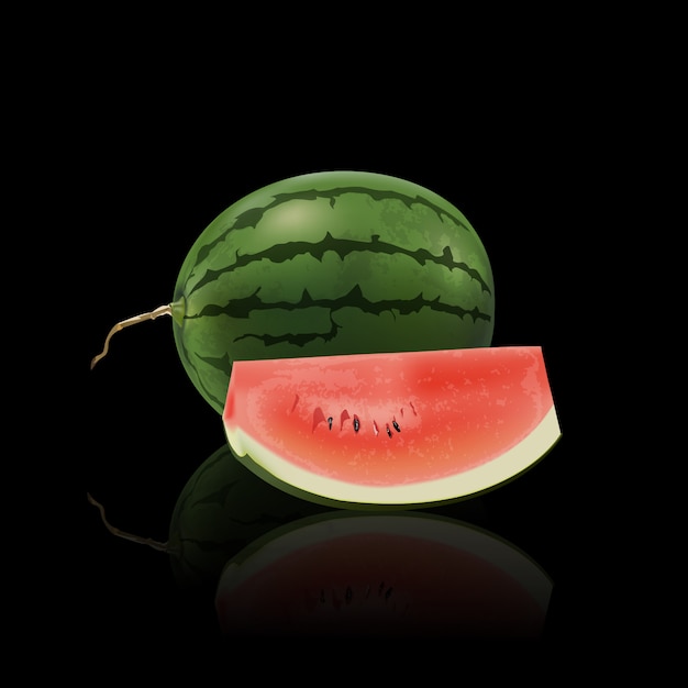 Vector watermelon