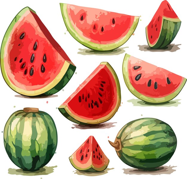 Watermelon