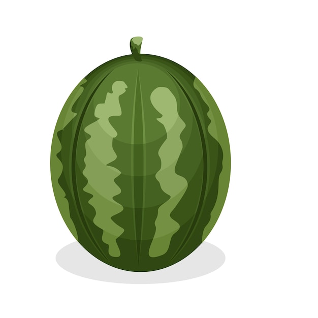 Vector watermelon