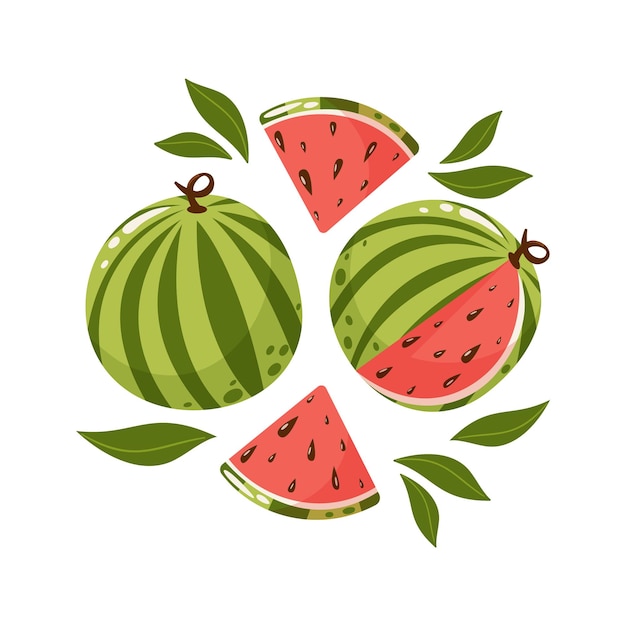 Vector watermeloncompositie geheel en in plakjes met bladeren set zoete vruchten zomervitamine vector