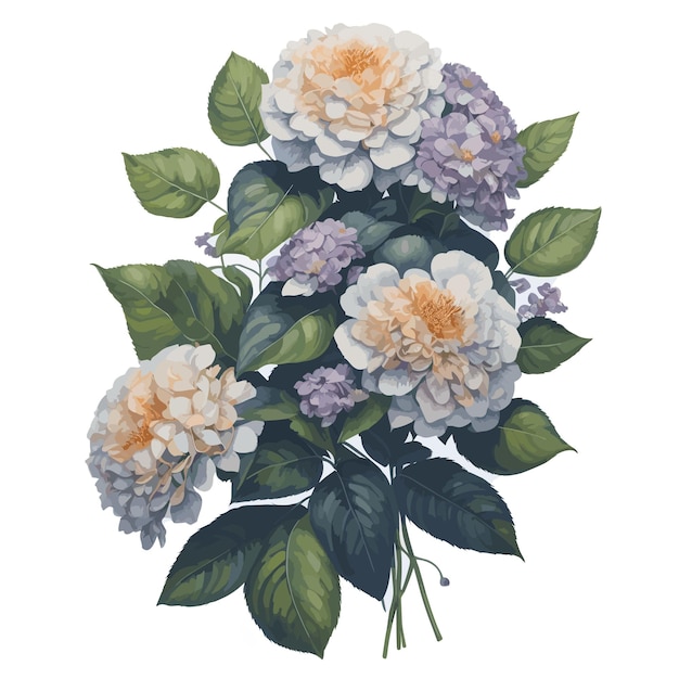 Waterverf eindeloze zomer hortensia clipart bloemen vector