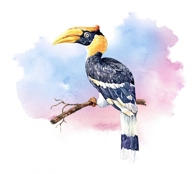 Waterverf Grote vogel Hornbill op de takken.