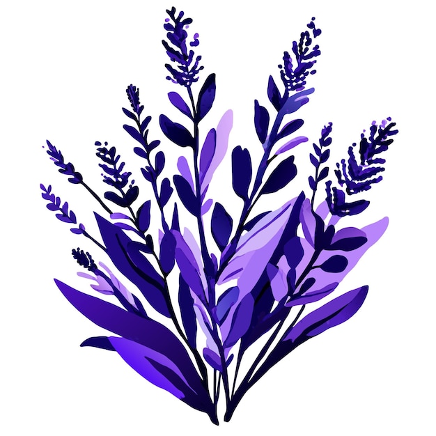 Vector waterverf illustratie boeket van lavendel