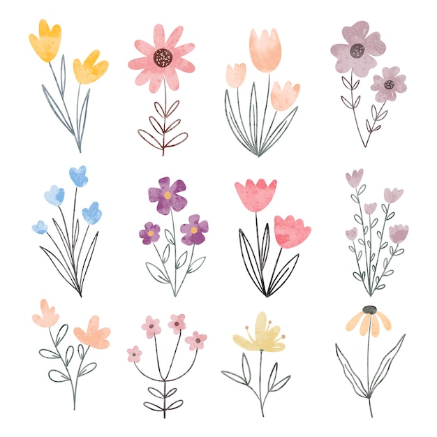 Waterverf illustratie set van prachtige bloemen