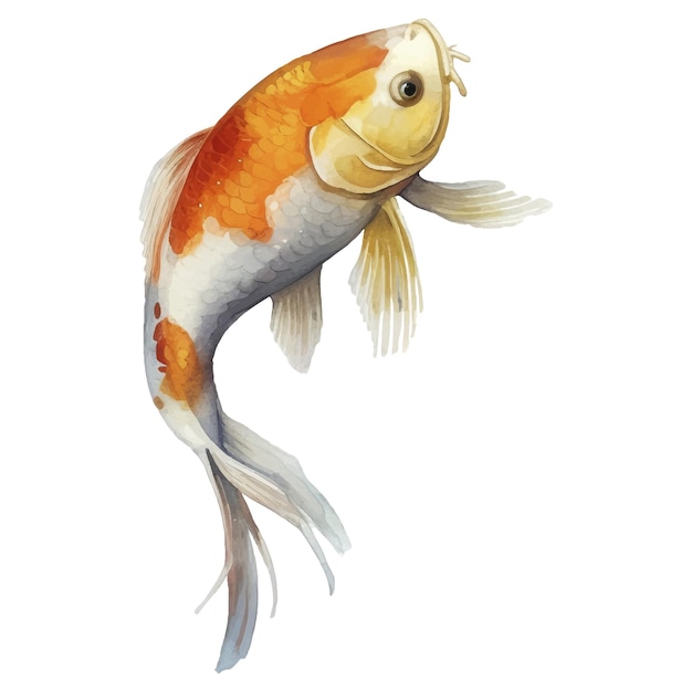 Waterverf met de hand geschilderde Koi Fish Illustratie Japanse stijl elementen geïsoleerd op witte achtergrond