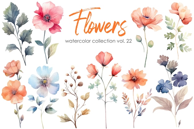 Waterverf schilderij van bloemen en bladeren Met de hand getekende bloemen vector elementen geïsoleerd op witte achtergrond