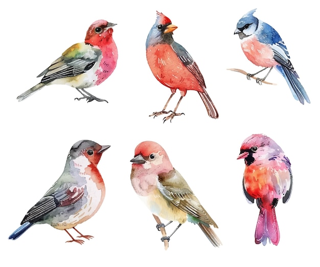 Waterverf schilderij van vogels