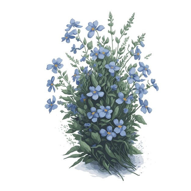 Vector waterverf vector forgetmenot bloem clipart bewerkbare witte achtergrond