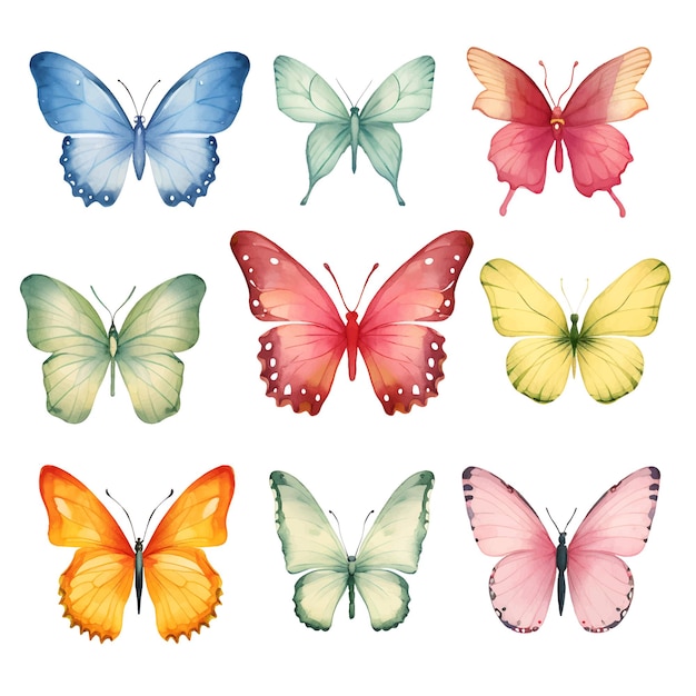 waterverf vlinder illustratie clipart set