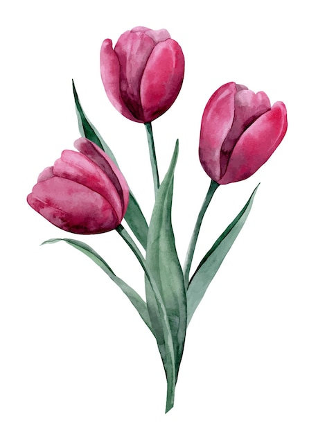 Waterverfboeket met roze tulpenbloemen Handgetekende bloemenillustratie van bloeiende planten