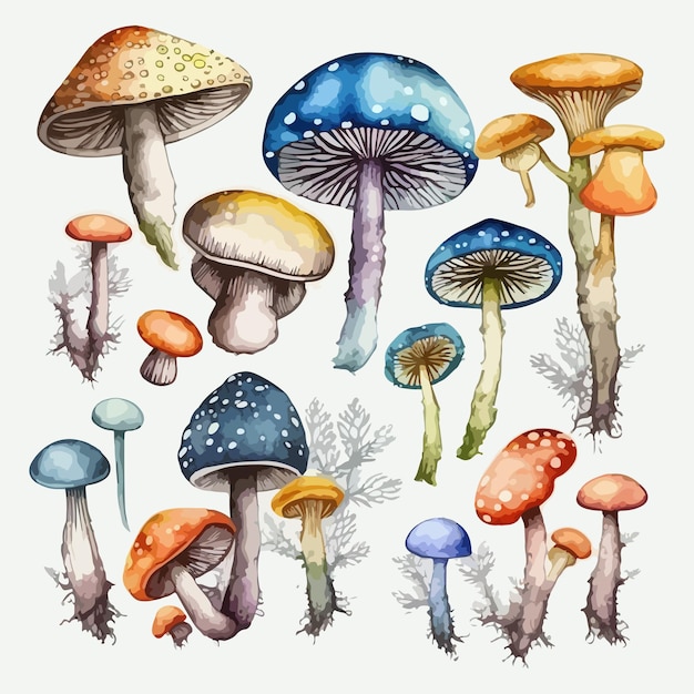 Waterverfschilderij van een mooi paddenstoelenpakket