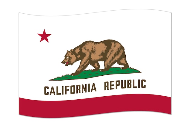 Vector waving flag of the california state vector illustration