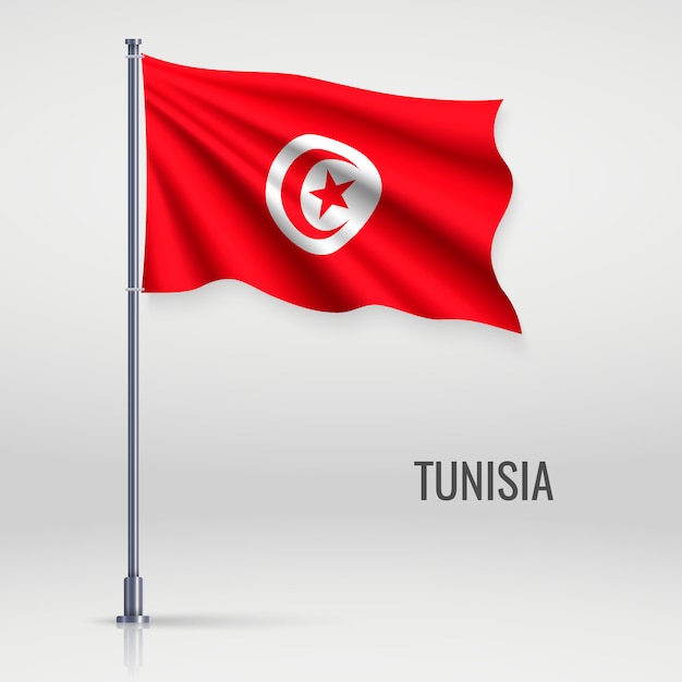 drapeau tunisie Stock Vector